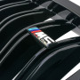 Решітка радіатора (ніздрі) BMW 5-Series F07 (2009-2017) у стилі M5