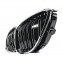Решетка радиатора (ноздри) BMW 6-Series F06/F12/F13 (2011-2018) в стиле M6 (Gloss Black)
