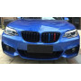 Решітка радіатора (ніздрі) BMW 2-Series F22/F23 (2013-2019) у стилі M2-Look (Tri-Color)