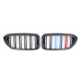 Решетка радиатора (ноздри) BMW 5-Series G30/G31 (2016-2020) в стиле M-Performance (Триколор)