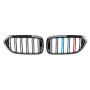 Решетка радиатора (ноздри) BMW 5-Series G30/G31 (2016-2020) в стиле M-Performance (Триколор)