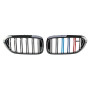 Решетка радиатора (ноздри) BMW 5-Series G30/G31 (2016-2020) в стиле M-Performance (Триколор)