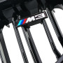 Решетки радиатора (ноздри) BMW 3 GT F34 M3 Style Gloss Black