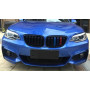 Решетка радиатора (ноздри) BMW 2-Series F22/F23 (2013-2019) в стиле M2-Look (Tri-Color)