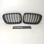 Решетки радиатора (ноздри) BMW X3 F25 (2010-2014) в стиле M