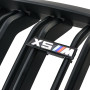 Решітки радіатора (ніздрі) BMW X5 E70/X6 E71 (2007-2013) у стилі M-Performance (Matte Black)