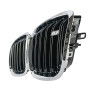 Решітки радіатора (ніздрі) BMW X5 E70/X6 E71 (2007-2013) у стилі M-Performance