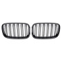 Решетки радиатора (ноздри) BMW X5 E70/X6 E71 (2007-2013) в стиле М (Gloss Black)