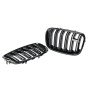 Решетки радиатора (ноздри) BMW X5 E70/X6 E71 (2007-2013) в стиле М (Gloss Black)