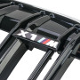 Решітки радіатора (ніздрі) BMW X1 F48 M Style Gloss Black