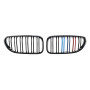 Решітка радіатора (ніздрі) BMW 6-Series F06/F12/F13 (2011-2018) у стилі M6 (Tri-Color)