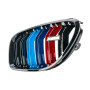 Решітка радіатора (ніздрі) BMW 6-Series F06/F12/F13 (2011-2018) у стилі M6 (Tri-Color)