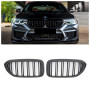 Решетка радиатора (ноздри) BMW 5-Series G30/G31 (2016-2020) в стиле M5 (Matte)