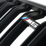 Решетка радиатора (ноздри) BMW 5-Series G30/G31 (2016-2020) в стиле M5 (Matte)