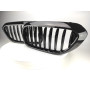 Решетки радиатора (ноздри) BMW 5 G30-G31 М5 Style Gloss Black 1 BAR